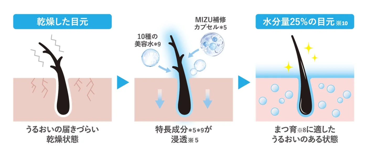 乾燥した目元に10種の美容水とMIZU補修カプセルが浸透し、水分量25%の潤いを与え、まつ育に適した状態へと改善される過程を示したイラスト