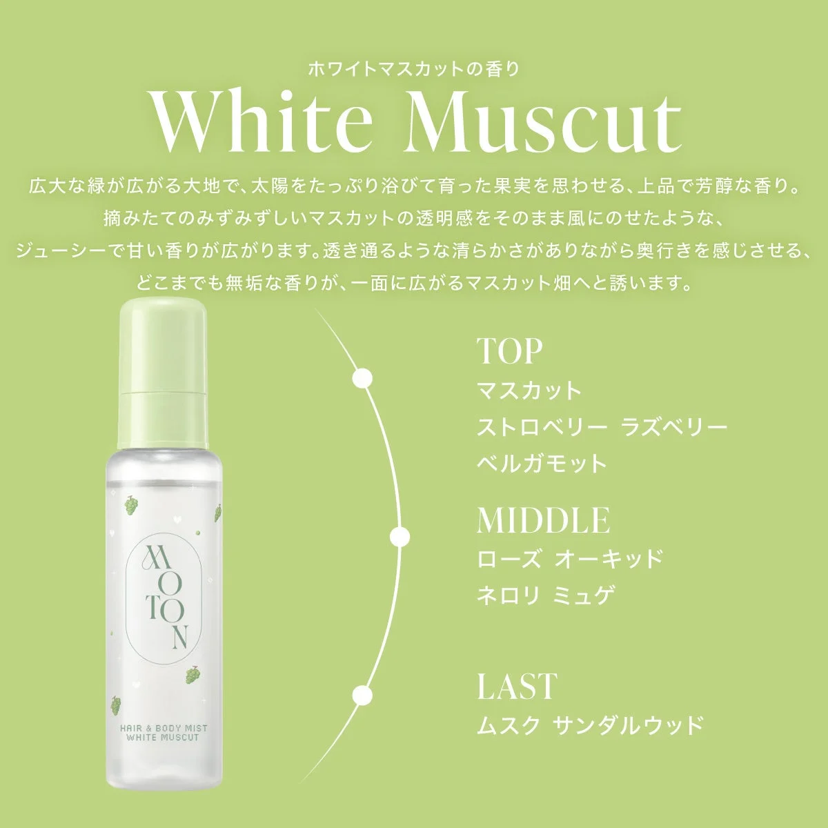 MOTON WHITE MUSCAT 香り構成