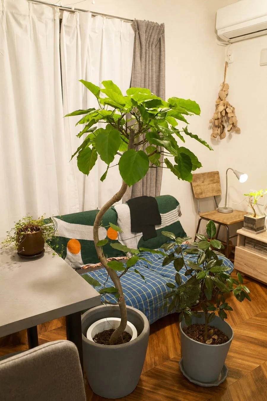 観葉植物と照明のあるリビング