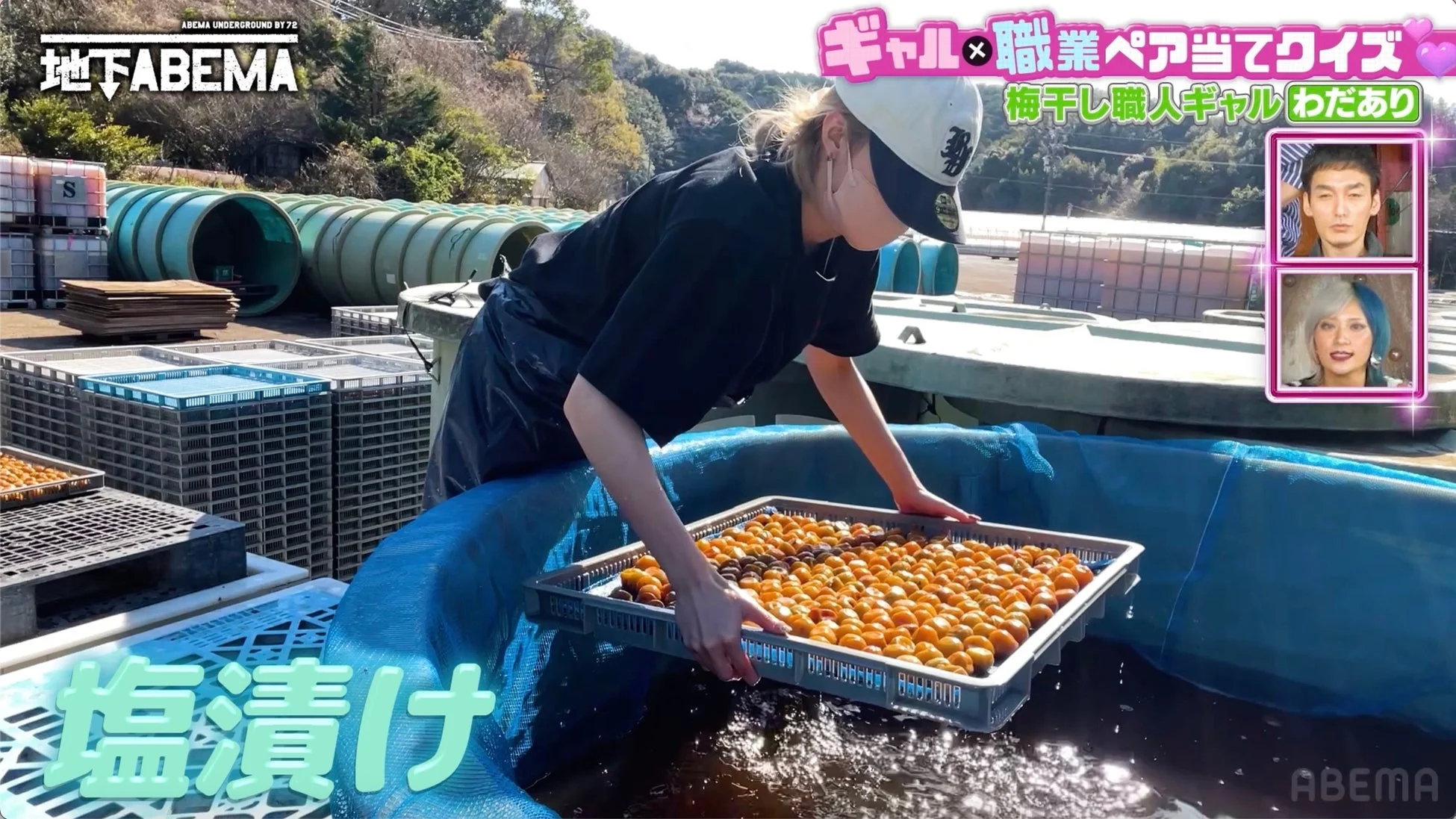 梅干し職人ギャル わだあり