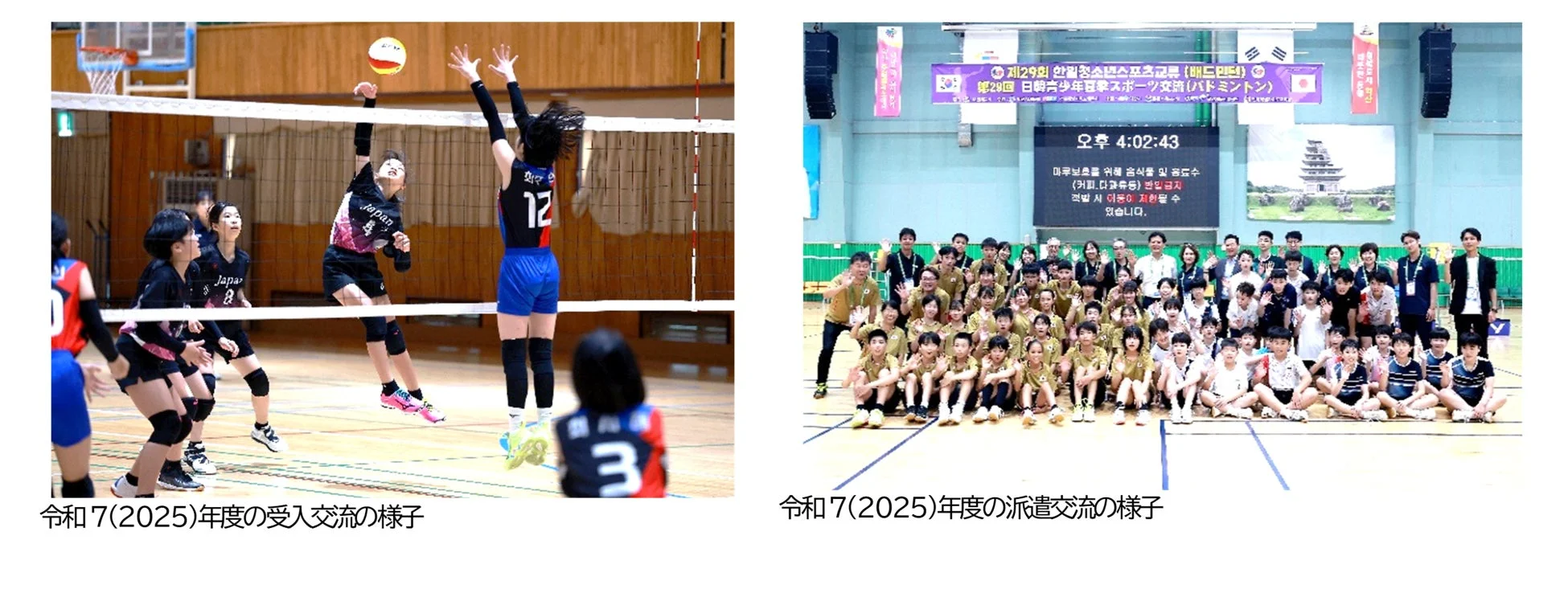 日韓青少年スポーツ交流の様子