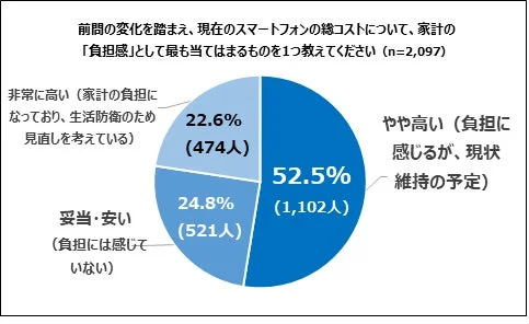 スマートフォン,コスト,負担感,家計,アンケート,円グラフ,消費動向,生活費