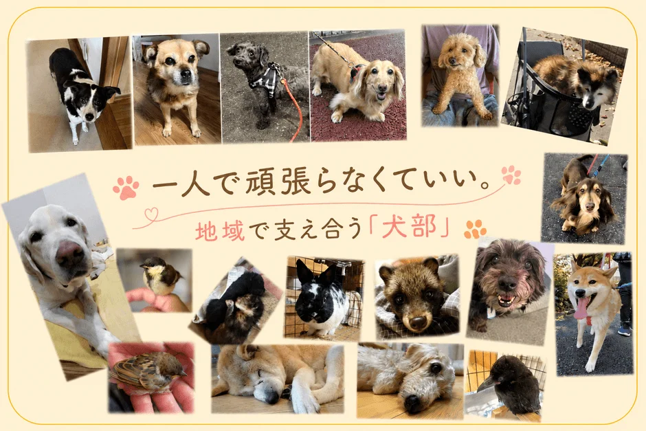 様々な犬やその他の動物たちの写真がコラージュされた画像