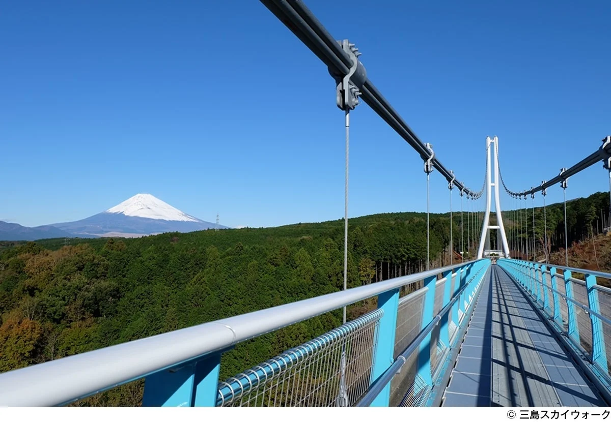 三島スカイウォーク
