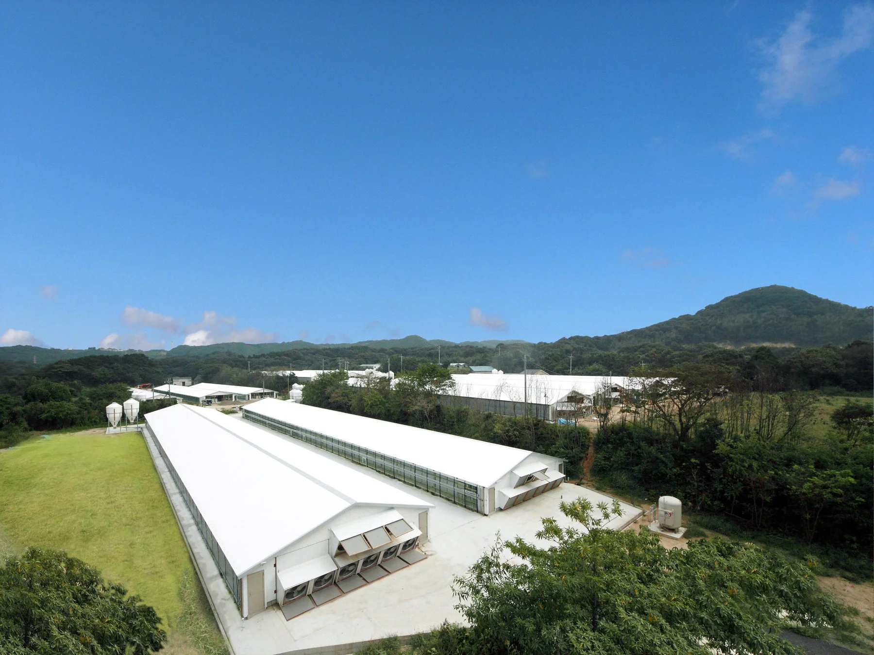 養鶏場