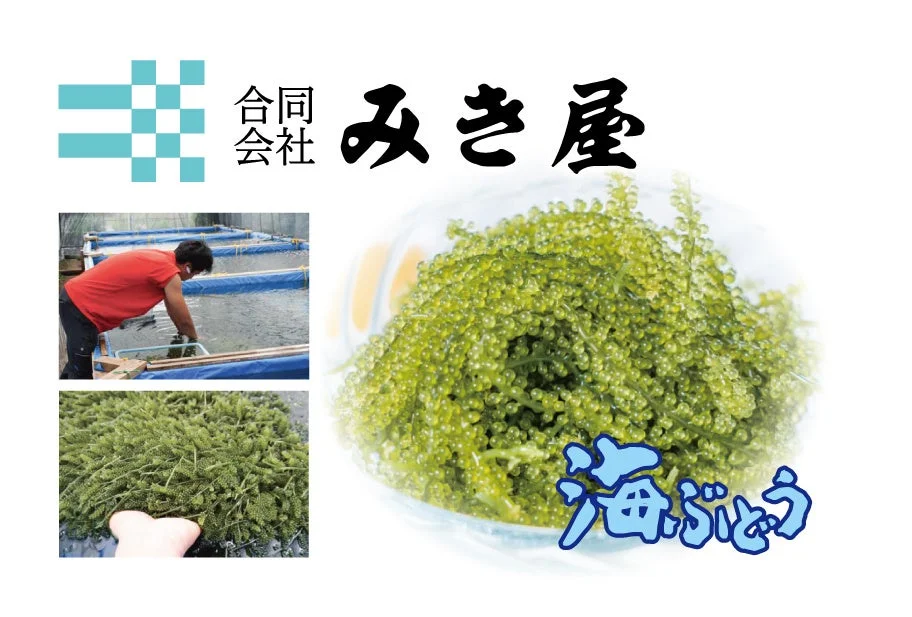 みき屋の海ぶどう