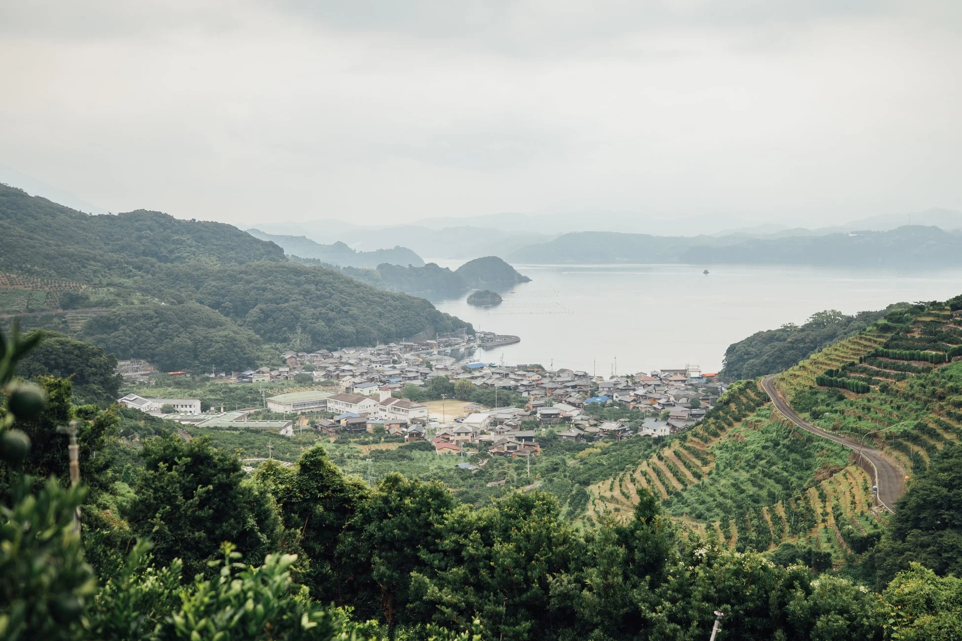 愛媛県西予市明浜町の段々畑が広がる海岸沿いの風景