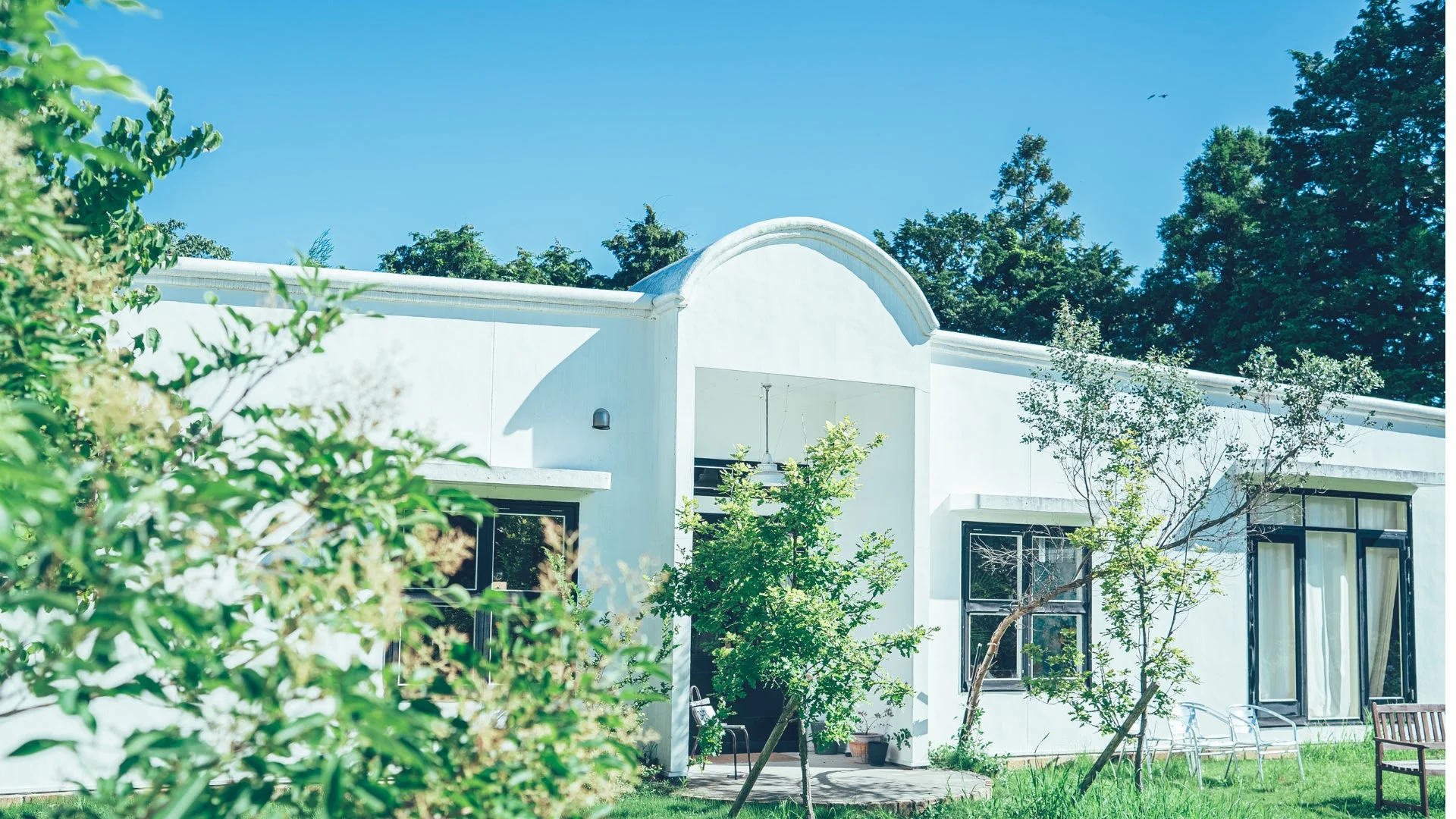白いモダンな建物が緑豊かな庭に囲まれて佇む外観