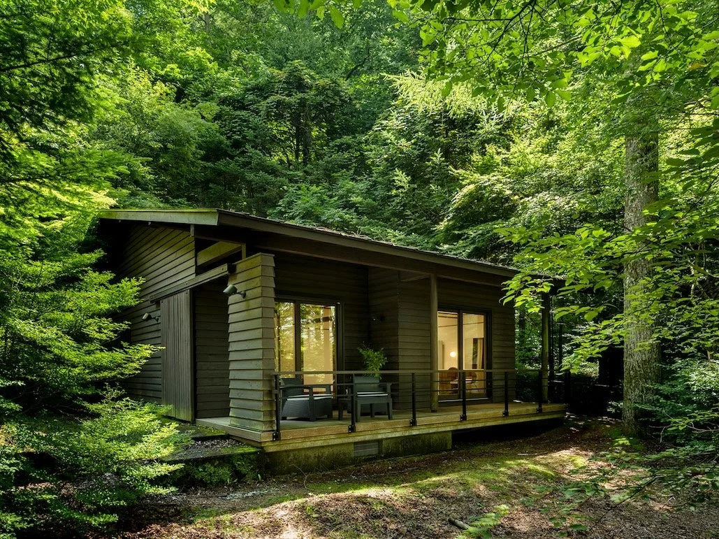 森の中にひっそりと佇むモダンな木造小屋