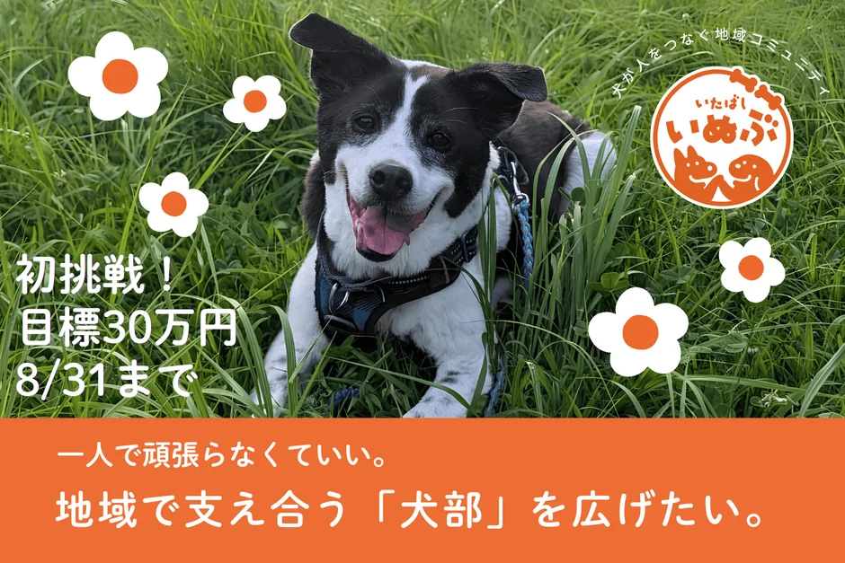 緑の草むらにいる笑顔の犬が特徴的な画像