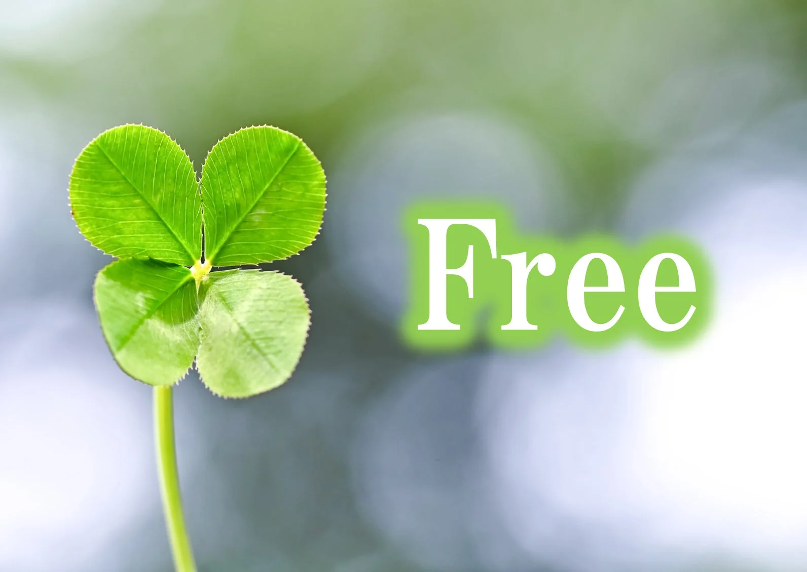 8つのFree