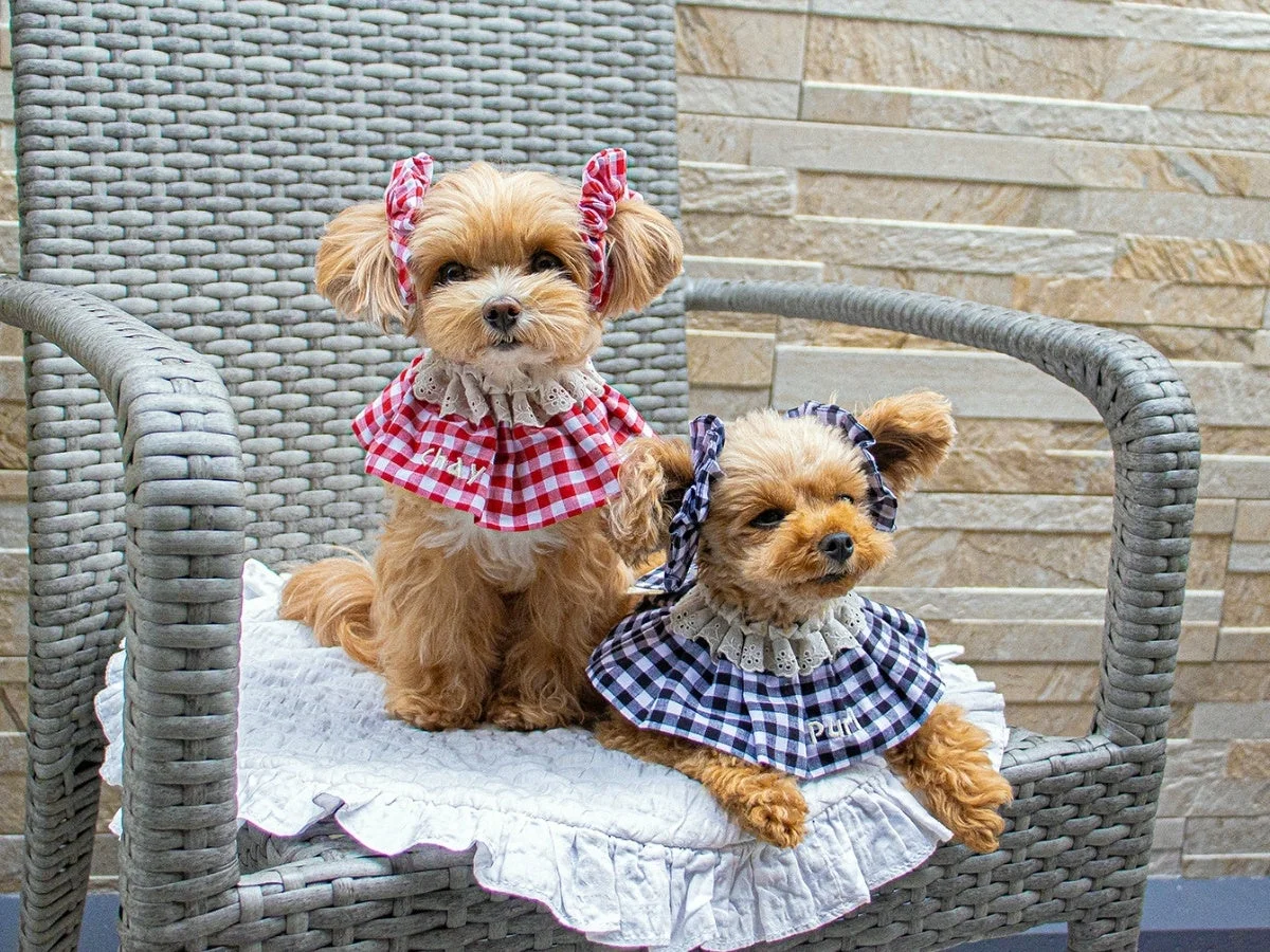 グレーの籐椅子に座る2匹の小型犬。赤いチェック柄と青いチェック柄のフリル付きスタイとリボンを身につけており、とても可愛らしくおしゃれな姿です。背景には石壁が見えます。