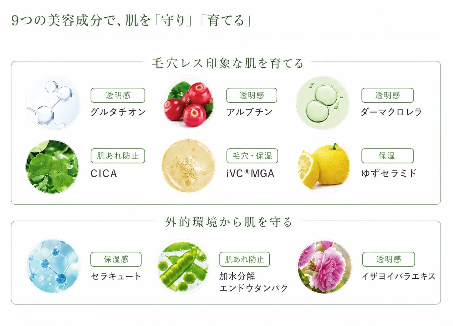 9つの美容成分
