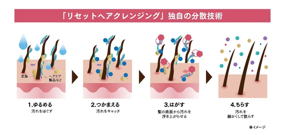 4ステップ洗浄