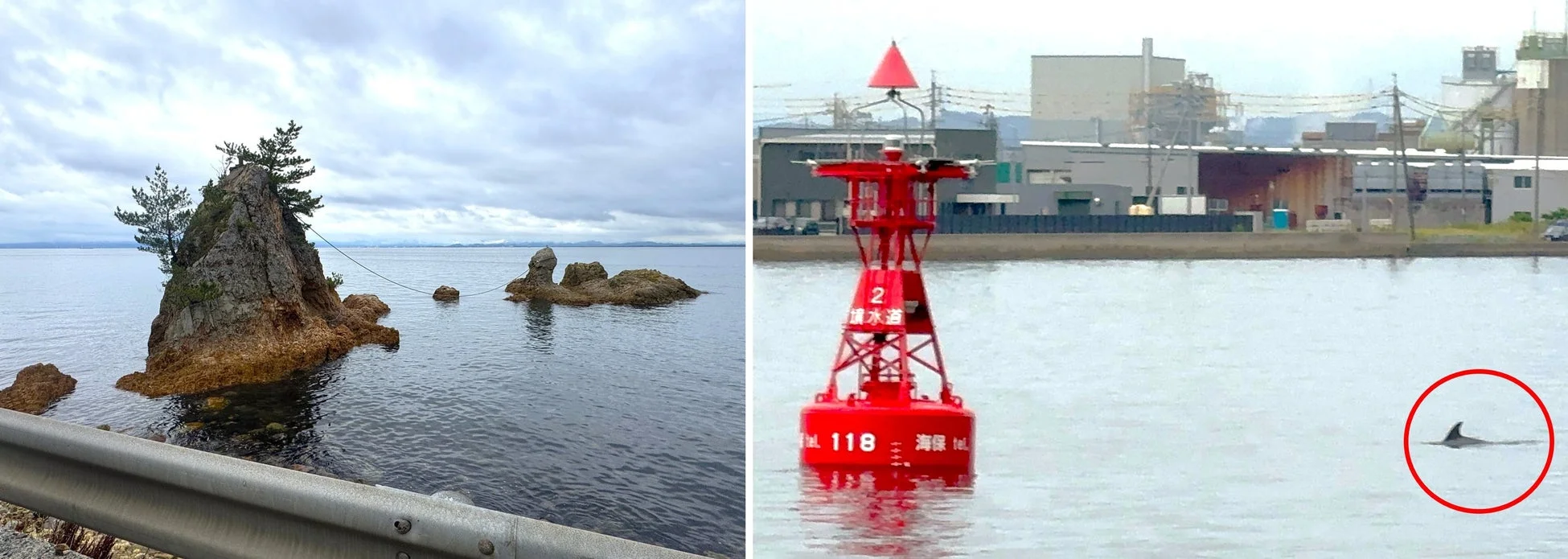 自然、海、岩、島、風景、航路標識、ブイ、イルカ、産業施設、水辺、日本
