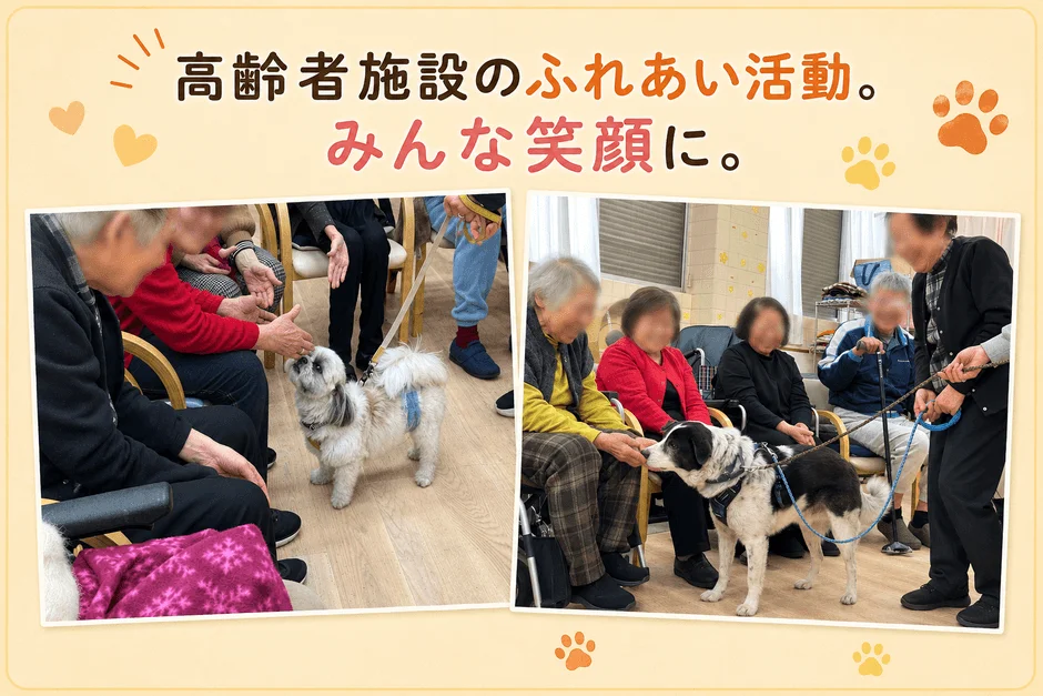 高齢者施設で行われているふれあい活動の様子