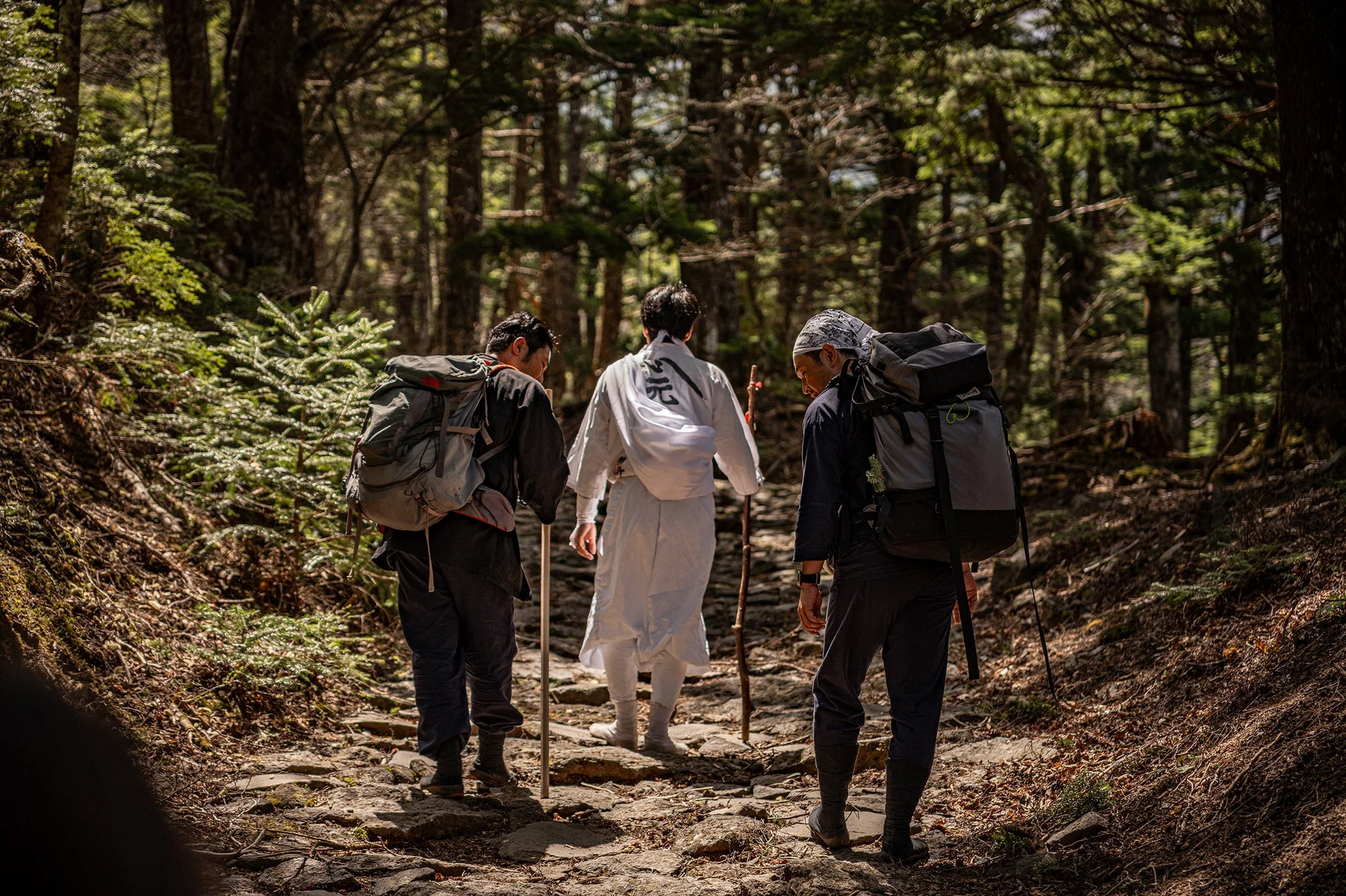 登山,ハイキング,森林,山道,修験道,巡礼,日本,自然,バックパック,旅