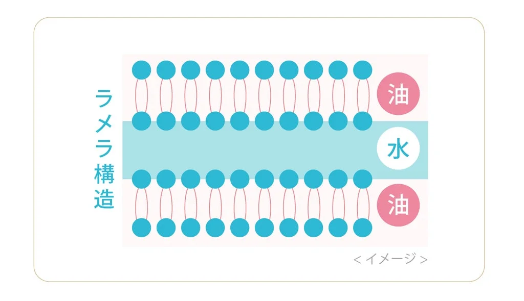 ラメラ構造イメージ