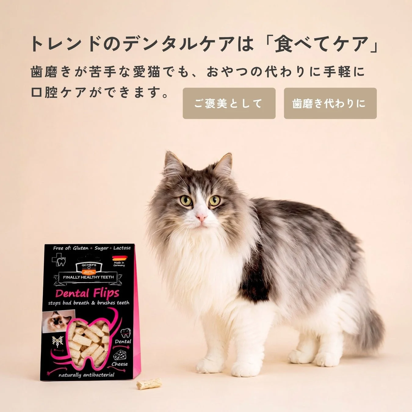 歯磨きが苦手な愛猫でもおやつ感覚で手軽に口腔ケア