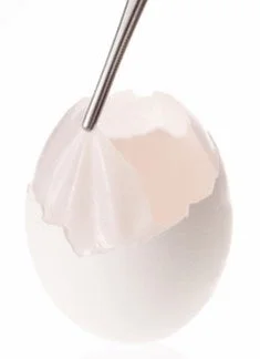 卵殻膜について