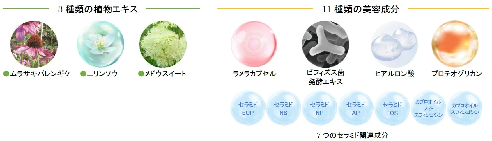 セラムSの成分