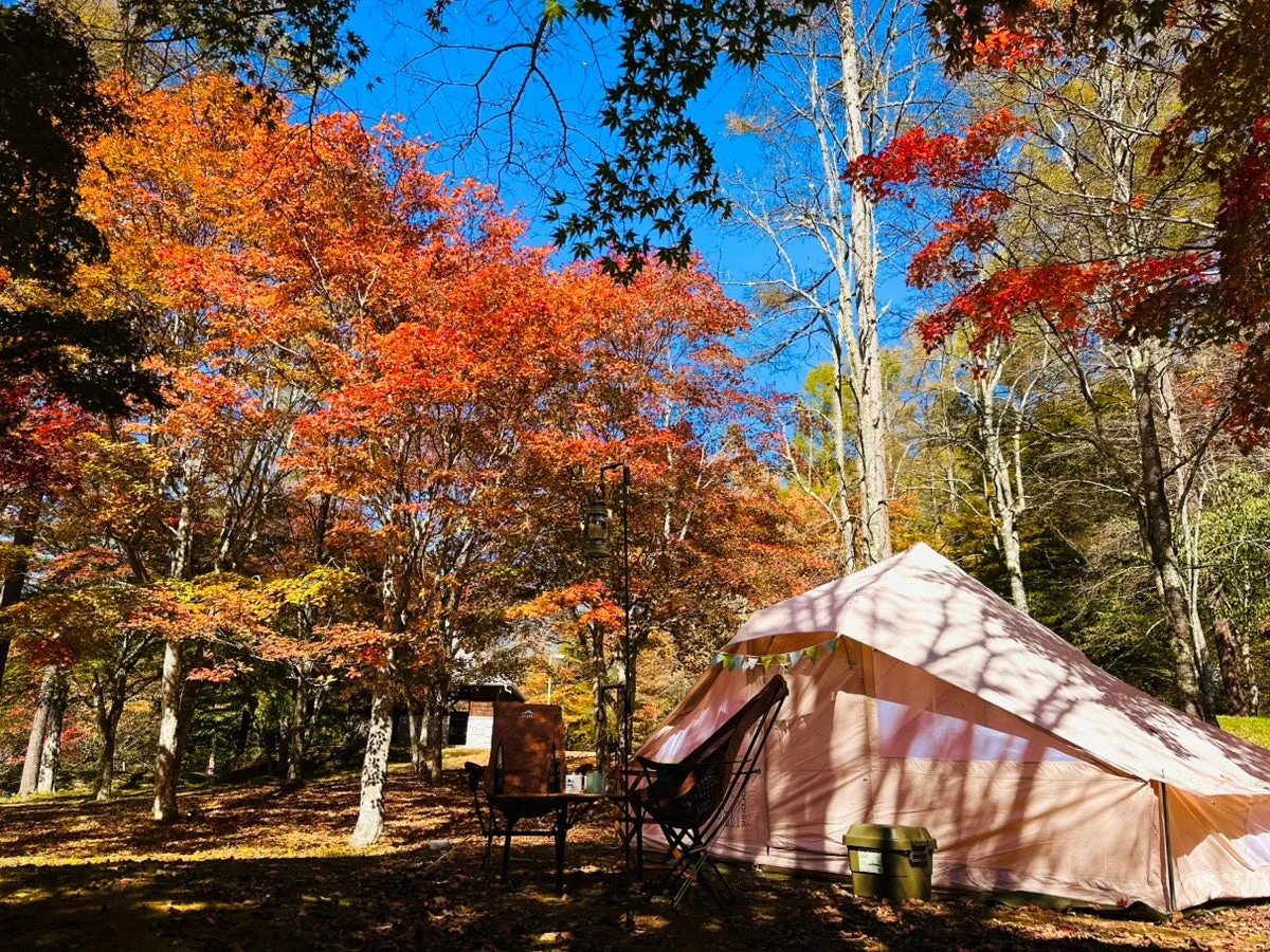 紅葉に囲まれたキャンプ場