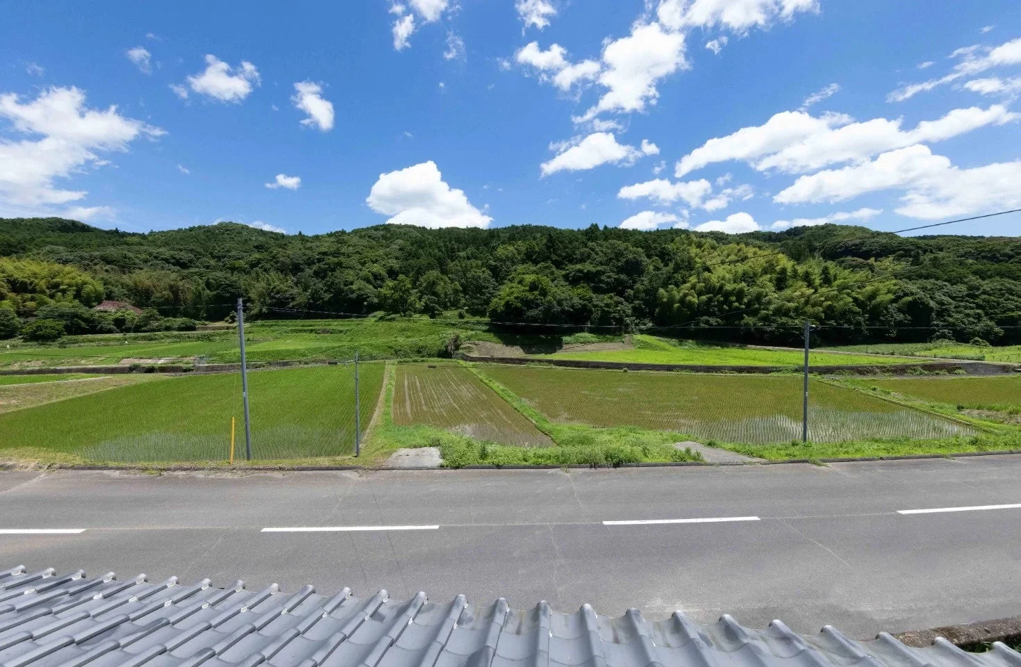 緑豊かな山と水田が広がる田園風景