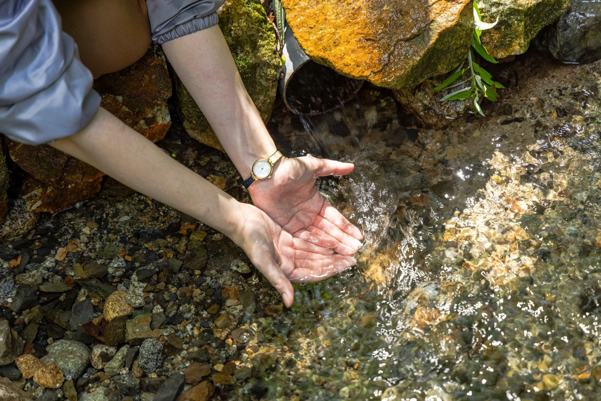 清らかな水をすくう手