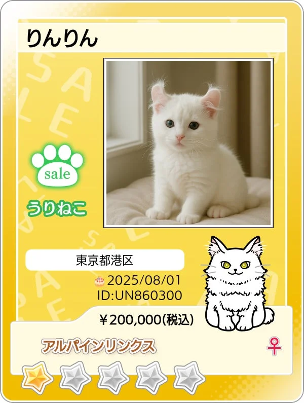子猫販売のマイニャンバーカード