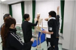 医療系の学生が骨格模型を使って解剖学の実習を行っている場面です。
