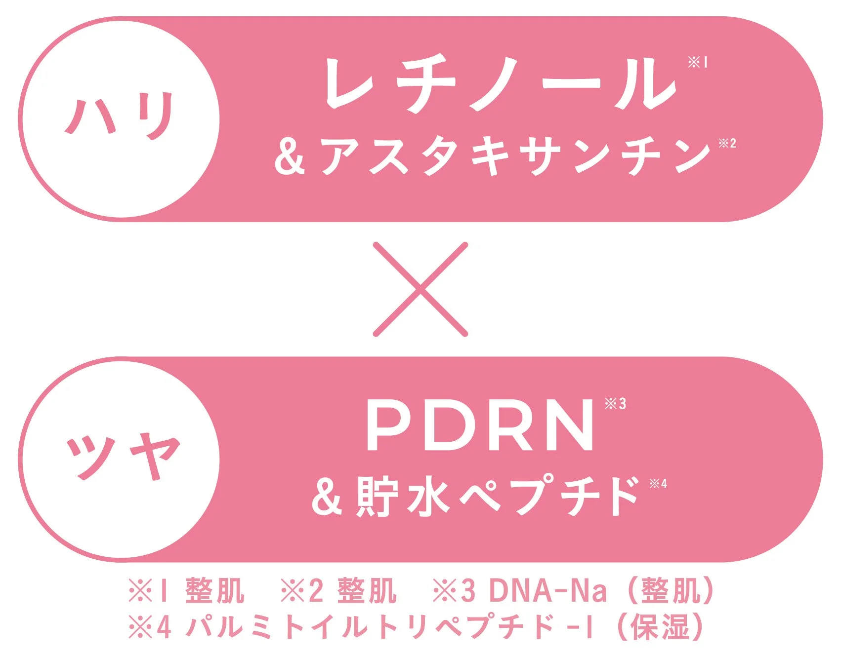 ハリとツヤにアプローチする美容成分