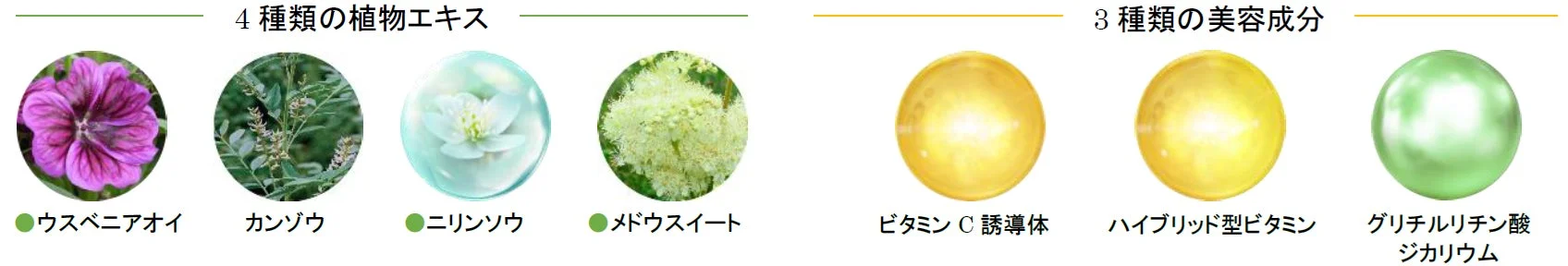セラムHの成分