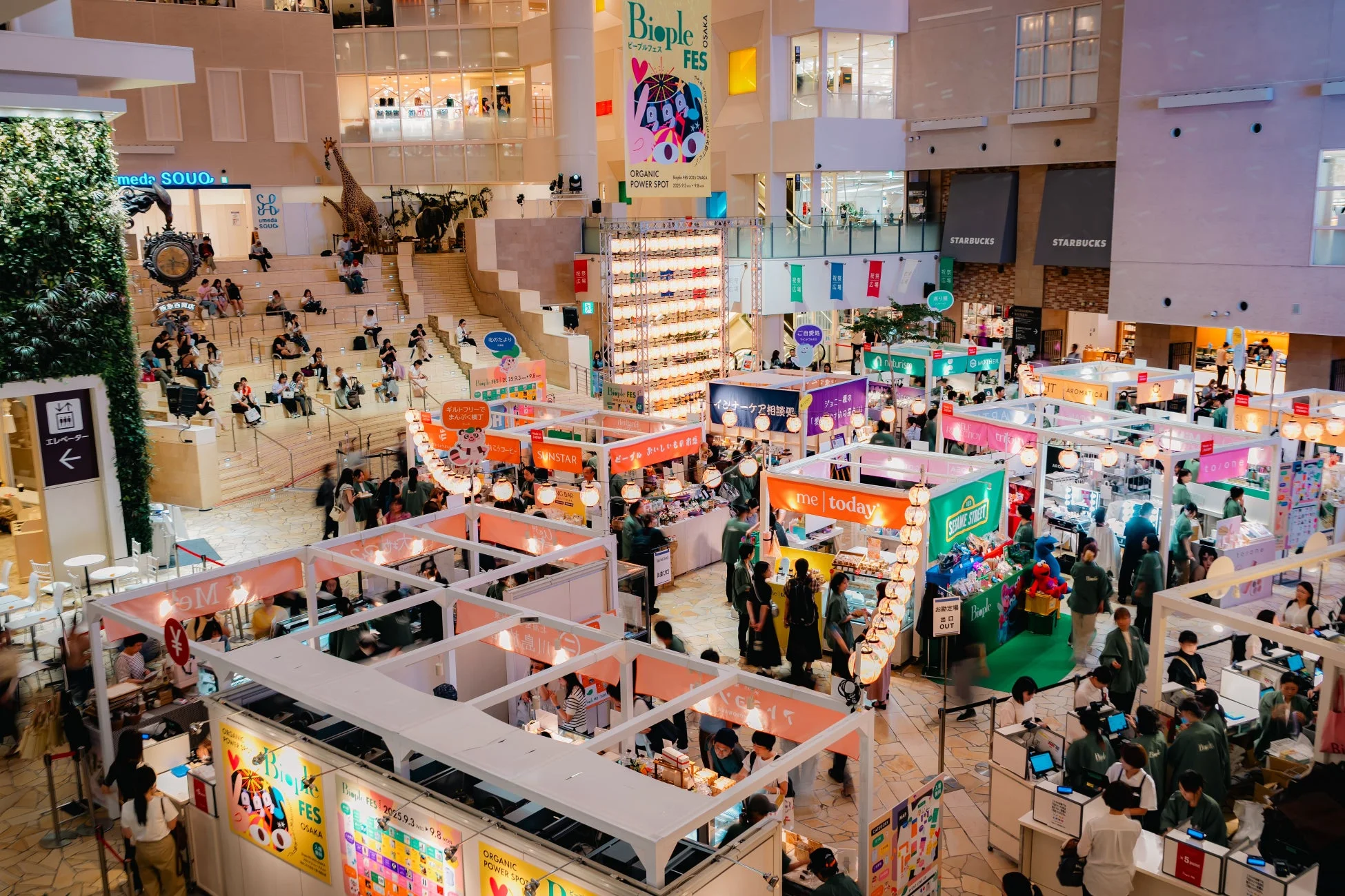 Biople FES OSAKAの過去の様子