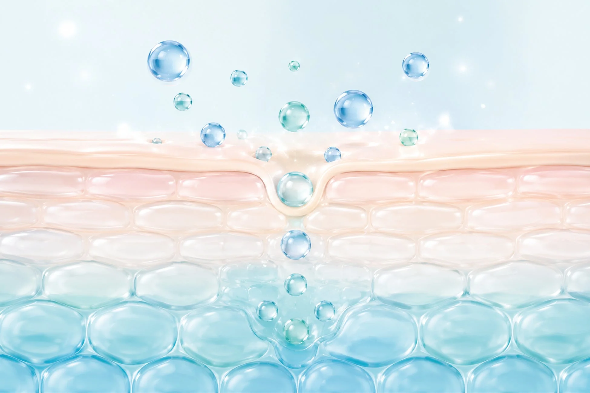 肌の断面図に水滴のような青い粒子が浸透していく様子を描いたイラスト