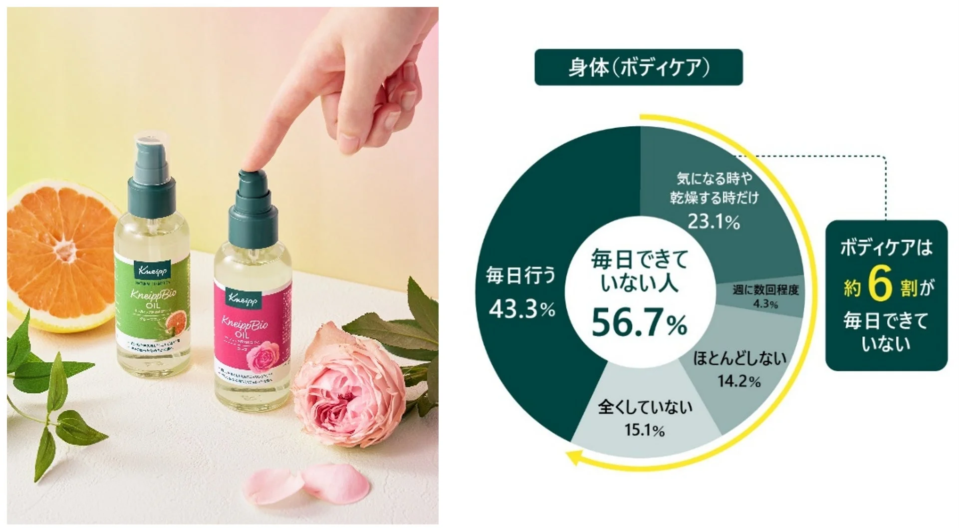 クナイプビオ オイルとボディケアに関するアンケート結果