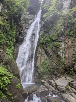 緑豊かな岩肌を勢いよく流れ落ちる雄大な滝