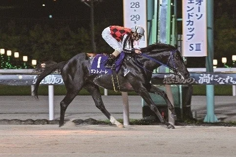 迫力あるナイターレースの様子