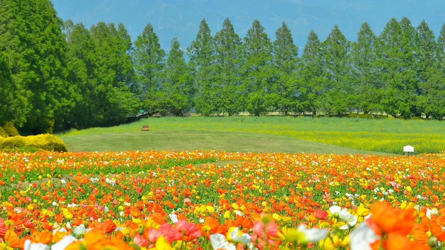霧島サービスエリア
