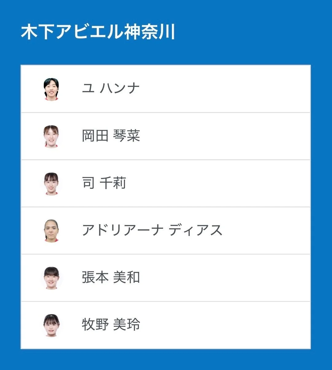 木下アビエル神奈川 選手一覧