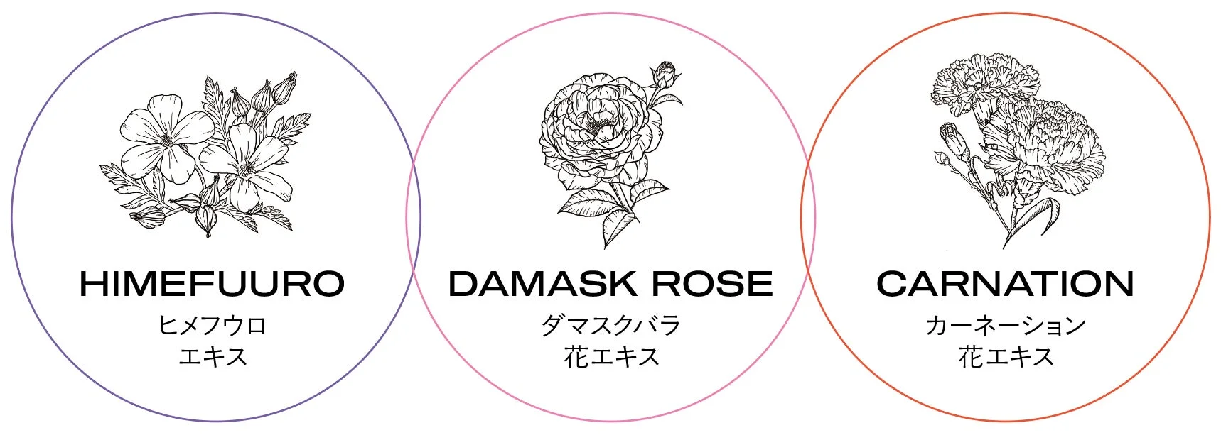 ヒメフウロ、ダマスクバラ、カーネーションの花エキス
