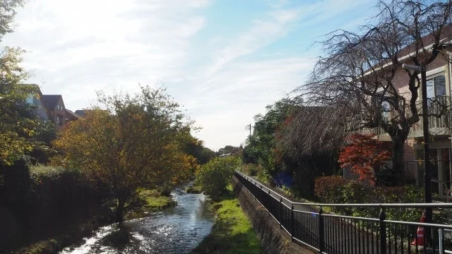 秋の住宅街を流れる川の風景