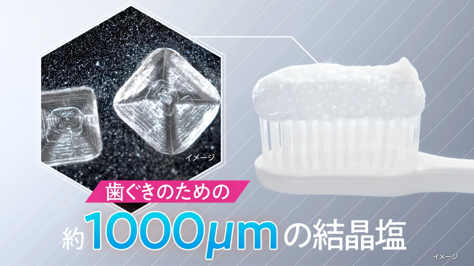 約1000μmの結晶塩のイメージ