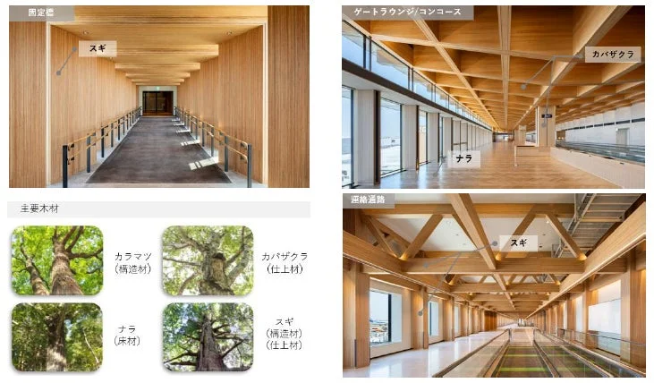木材を多用した建築物の内装デザインと使用されている主要木材の種類、用途を紹介する画像です。固定橋、ゲートラウンジ、連絡通路などの空間で、スギ、カバザクラ、ナラが構造材や仕上材として活用されています。