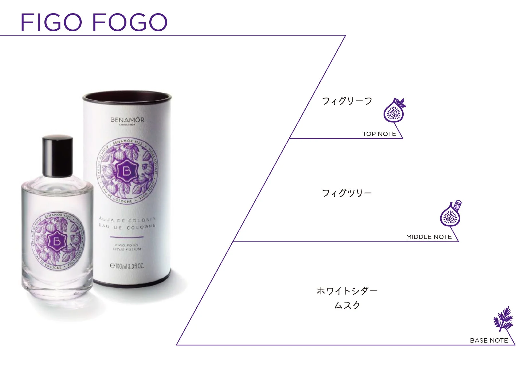 FIGO FOGO オーデコロン ボトルと香りのノート