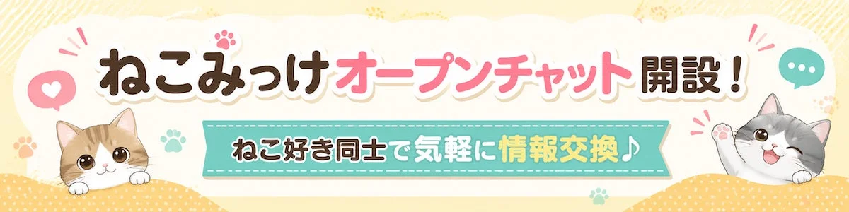 ねこみっけオープンチャット開設！