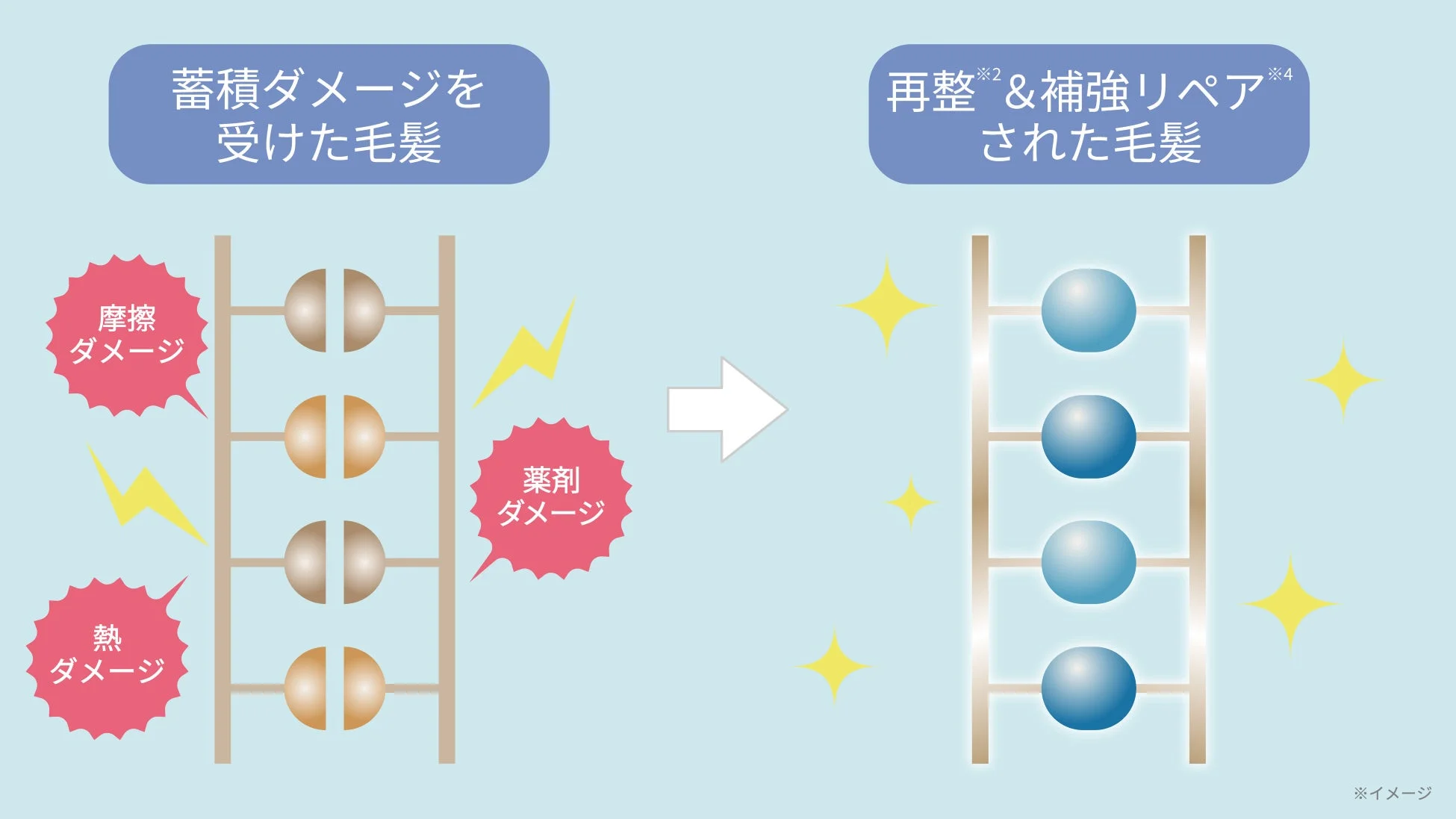 髪のダメージとリペアのイメージ