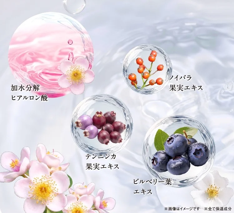 美容液成分のイメージ