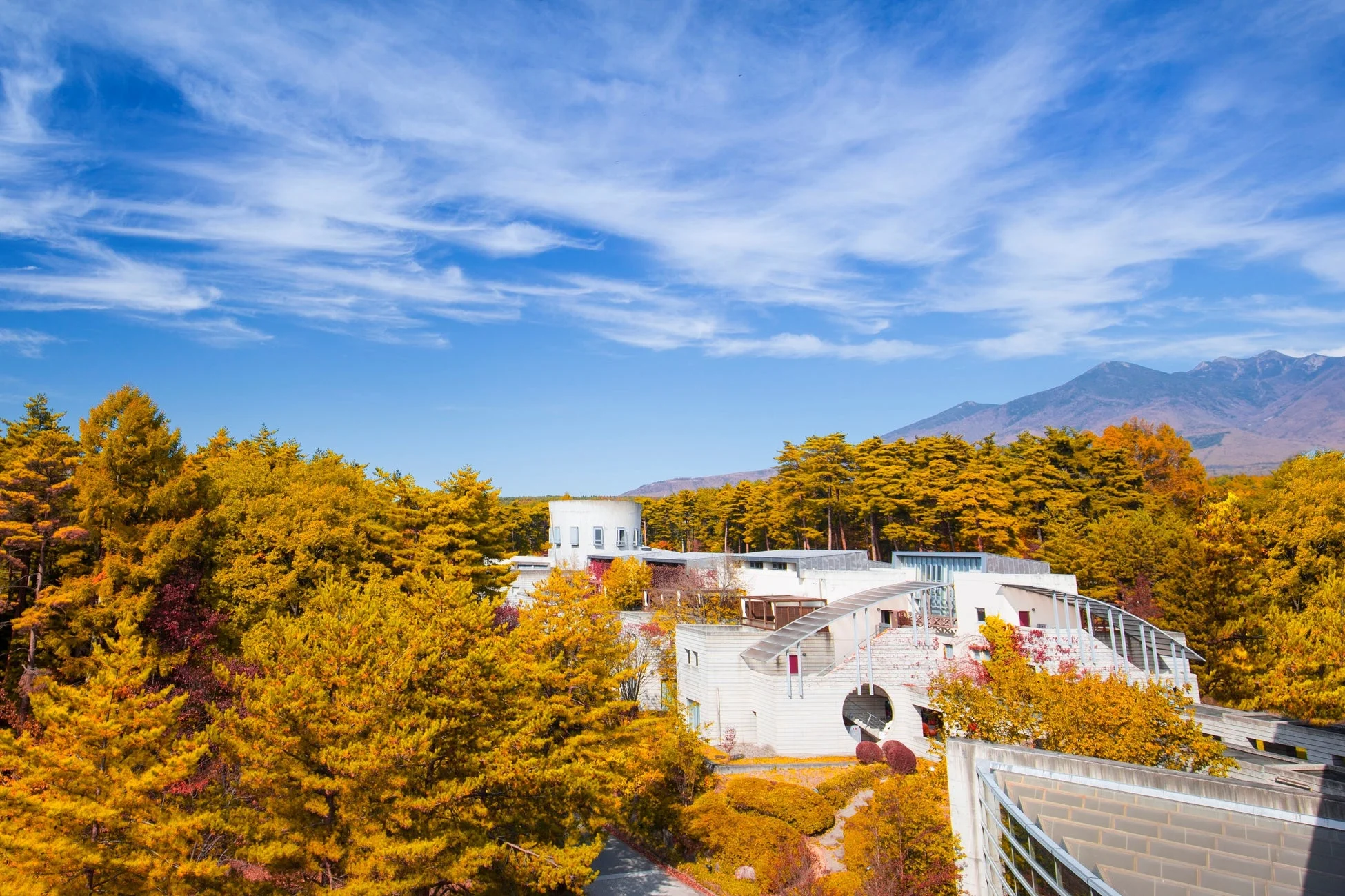 秋の鮮やかな黄色に染まった木々に囲まれたモダンな建築物が印象的な風景です。青空には白い雲が広がり、遠くには山々が見えます。