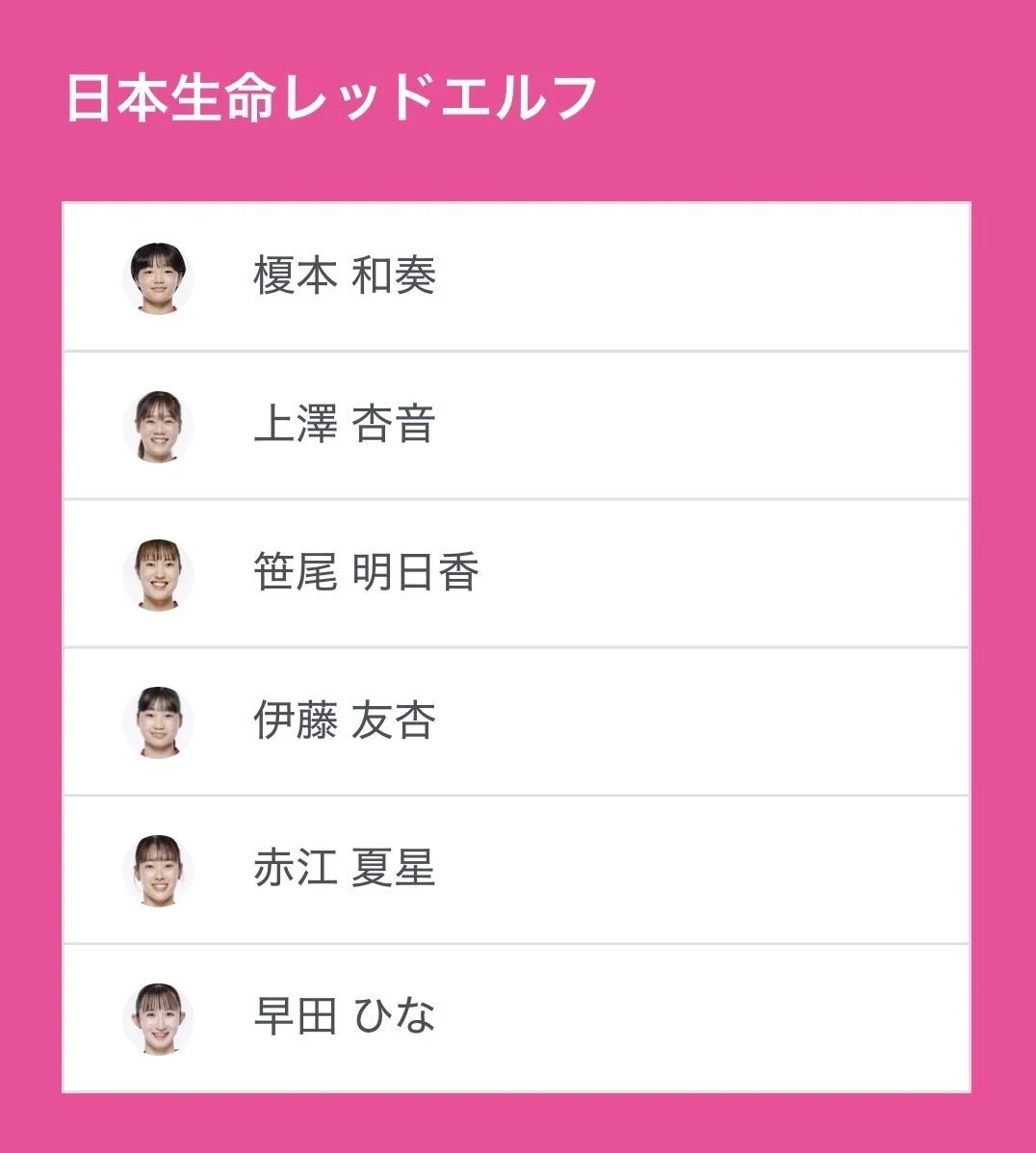 日本生命レッドエルフの選手たち