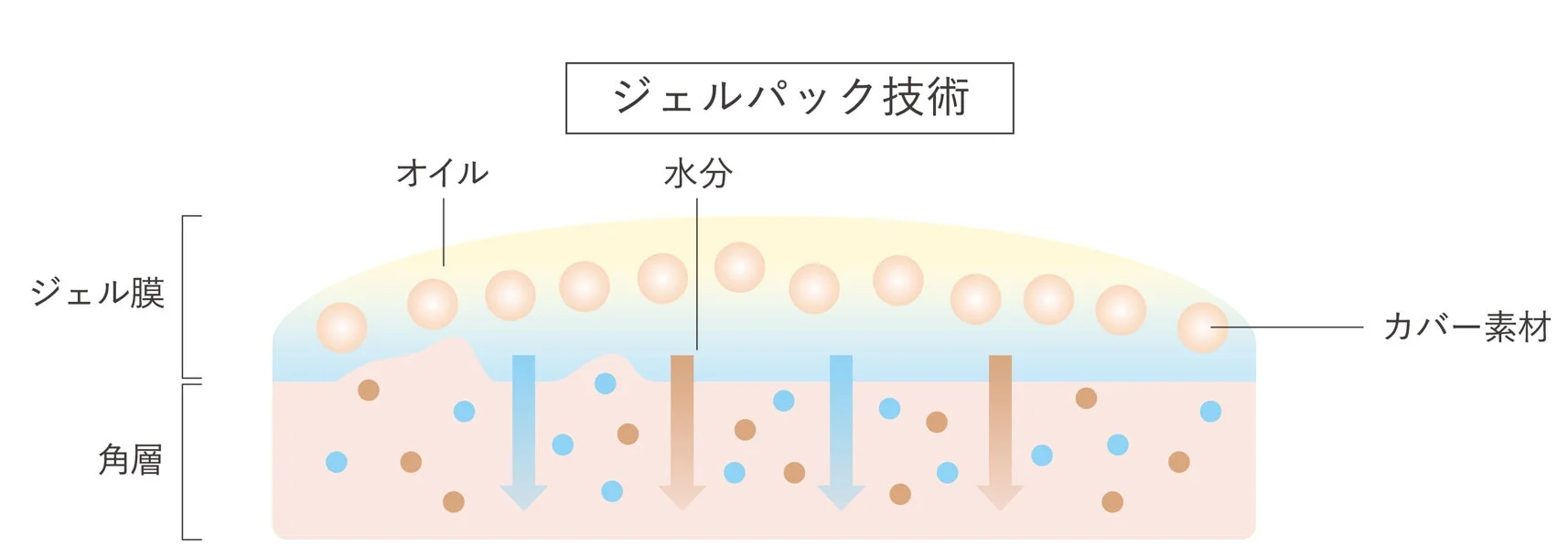 ジェルパック技術のメカニズムを図解しています